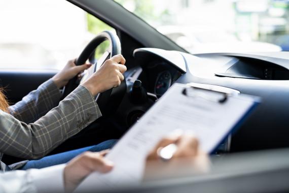 permis de conduire